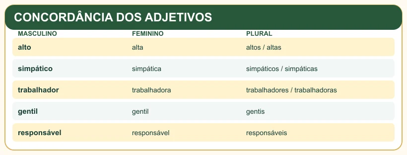 Quadro pedagógico: CONCORDÂNCIA DOS ADJETIVOS.