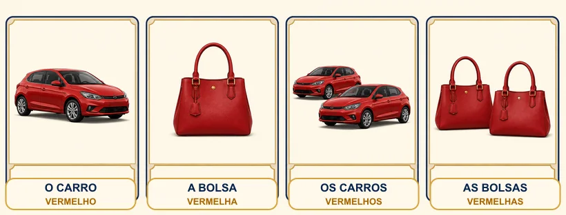 Quadro de concordância com o carro vermelho, a bolsa vermelha, os carros vermelhos e as bolsas vermelhas.
